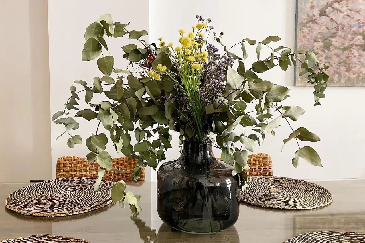 Apartment Veoapartment Zaragoza Terrace Sevilla Spanien